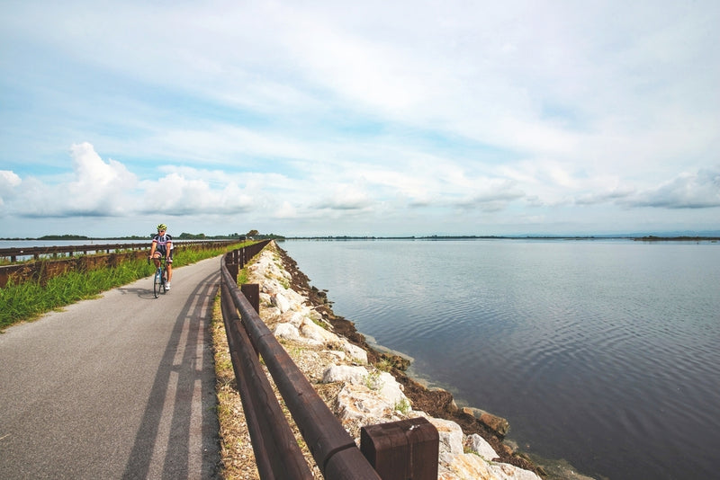 Itinerari - Sulle Rotte dell'Adriatico: Da Grado a Bibione, un Viaggio in Bicicletta