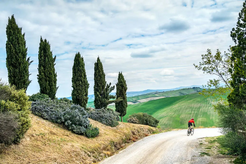 Itinerari - Scoprire le Strade Bianche della Toscana: Un Viaggio Ciclistico tra Natura e Storia