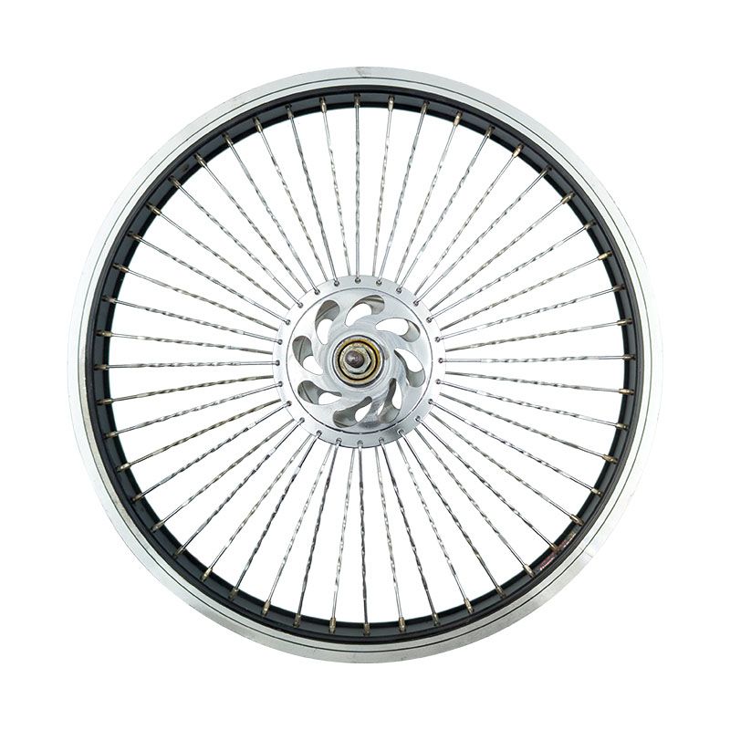 Ruota Anteriore 20 x 1,90 BMX Perno: 10mm Mozzo su Sfere con Dado