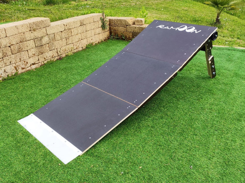 Alpha Ramp 3 Modules: Expand Your Driving Possibilities with Versatility and Safety!