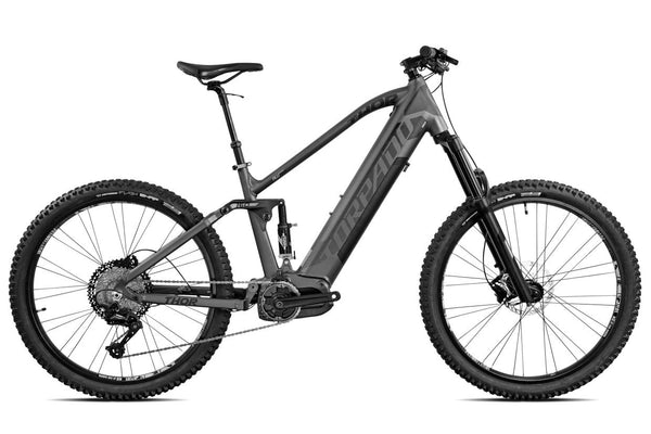 E-Bike T989 THOR 29 - 23T989